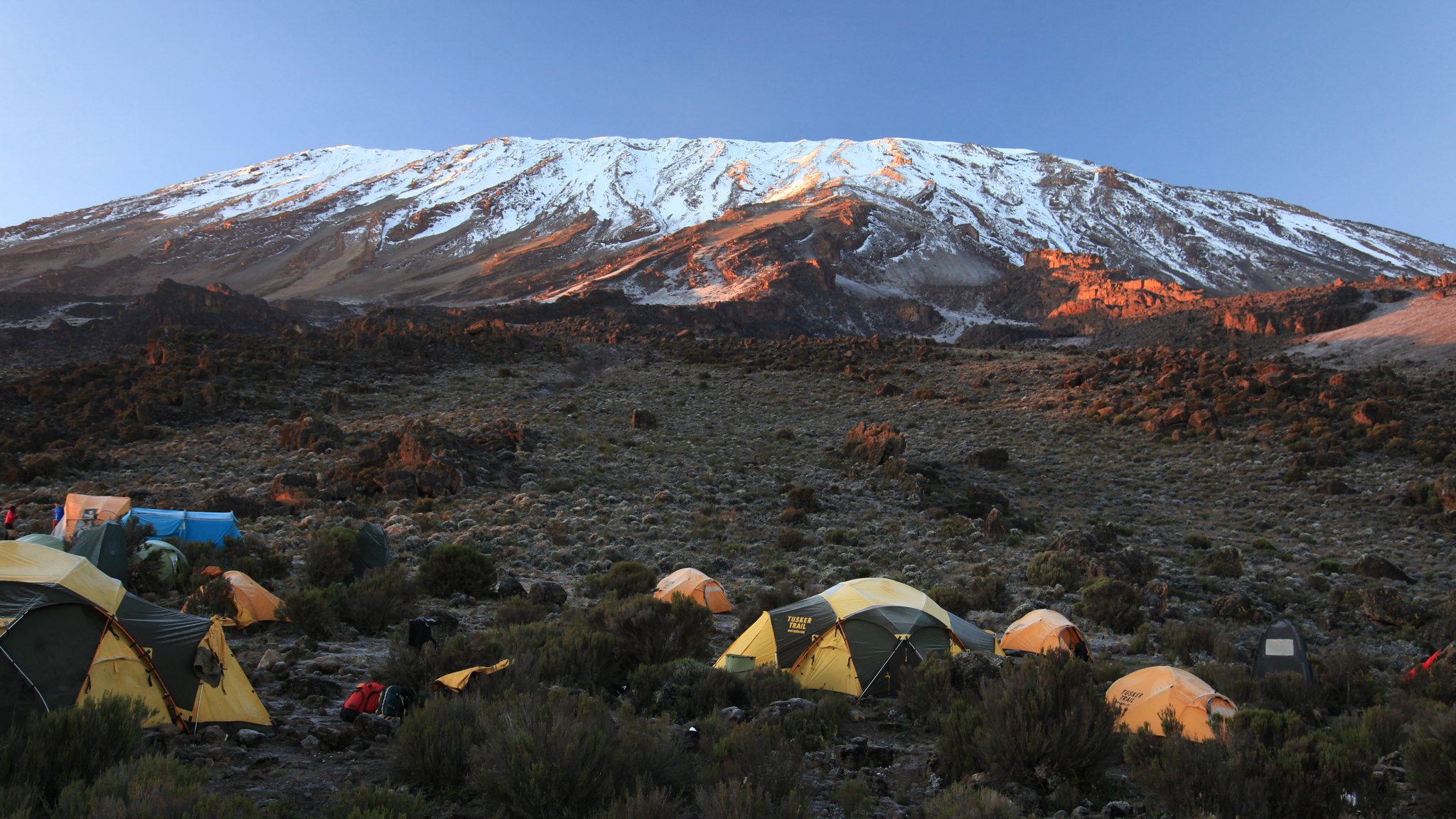 Buffalo Camp